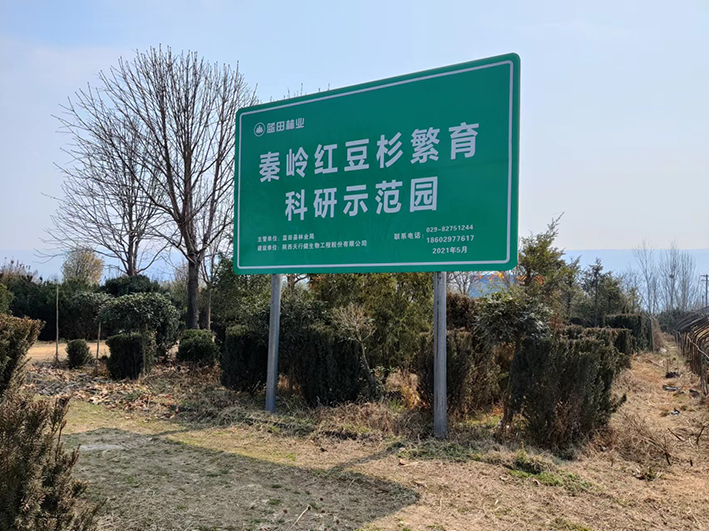 ����춹ɼʾ��������